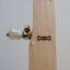 Goodtime™ Fretless and Scooped Openback Banjo