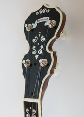 Deering Calico banjo peghead