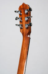 Deering Deluxe™ 6-String Banjo