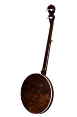 Deering GDL banjo - back