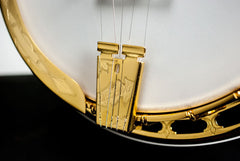 Deering Golden Classic™ 5-String Banjo