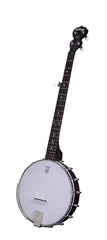 Deering Classic Goodtime banjo