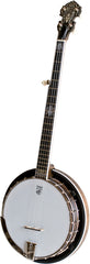 Deering John Hartford with Pop-On Resonator