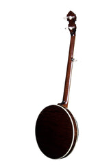 Deering Tenbrooks Saratoga Star banjo back