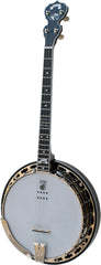 Deering Dropkick Murphys Tenor Banjo