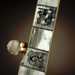 Deering Gabriella banjo fingerboard