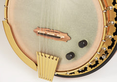 Deering Phoenix™ Acoustic/Electric 6-String Banjo