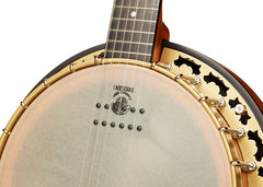 Deering Phoenix™ Acoustic/Electric 6-String Banjo