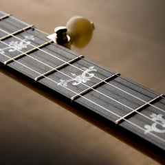 Deering Sierra™ Openback 5-String Banjo