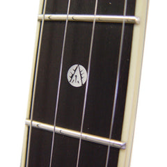 Vega® Dragon Star Banjo